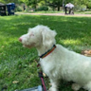 Meet your Posher, Christopher